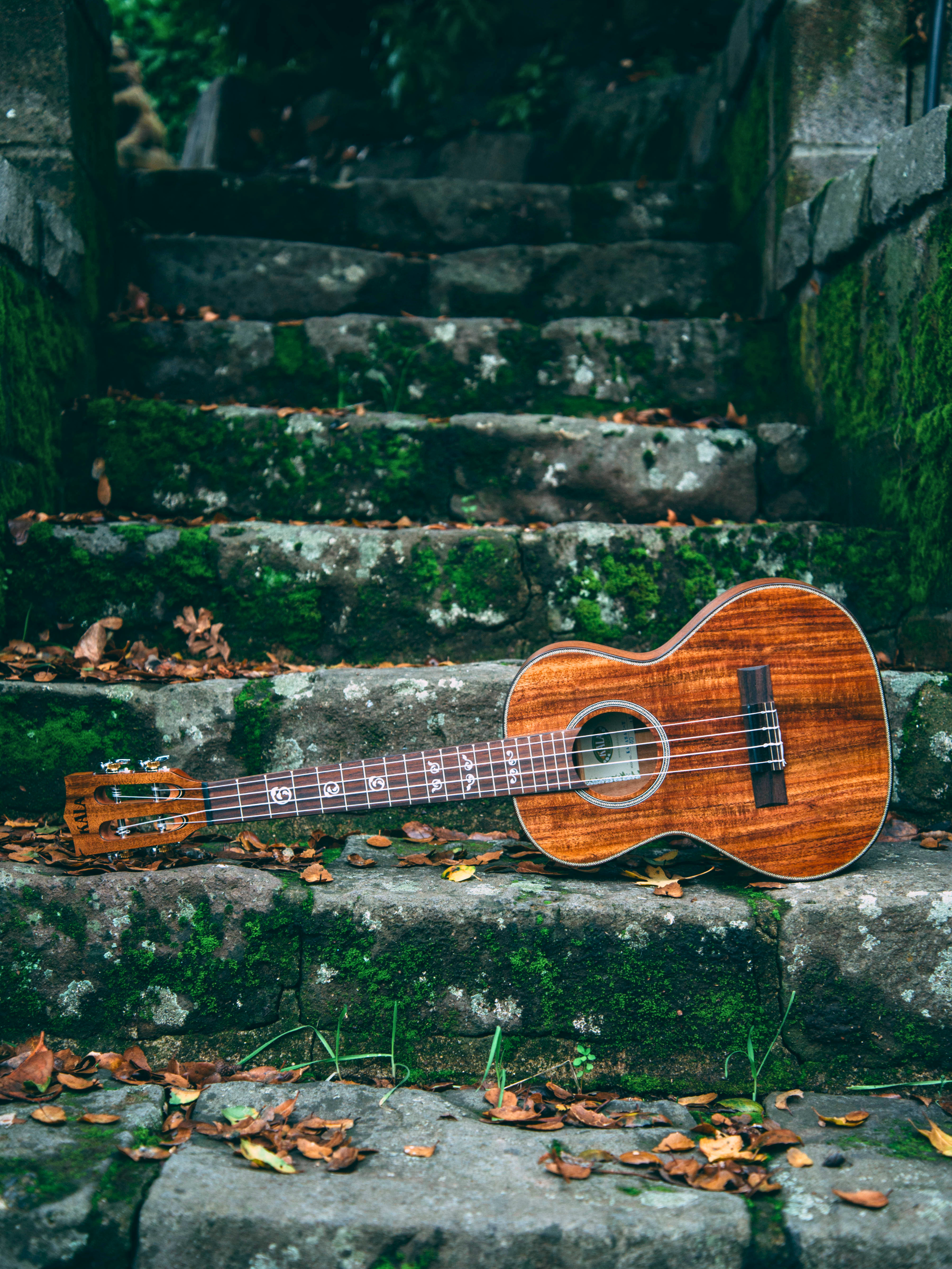 Choosing The Right Ukulele