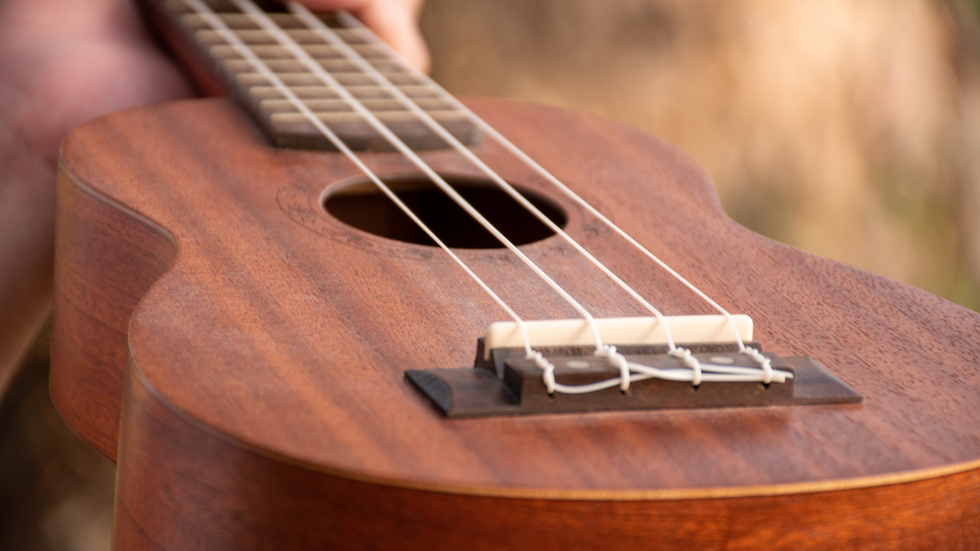 Choosing the right ukulele size for you