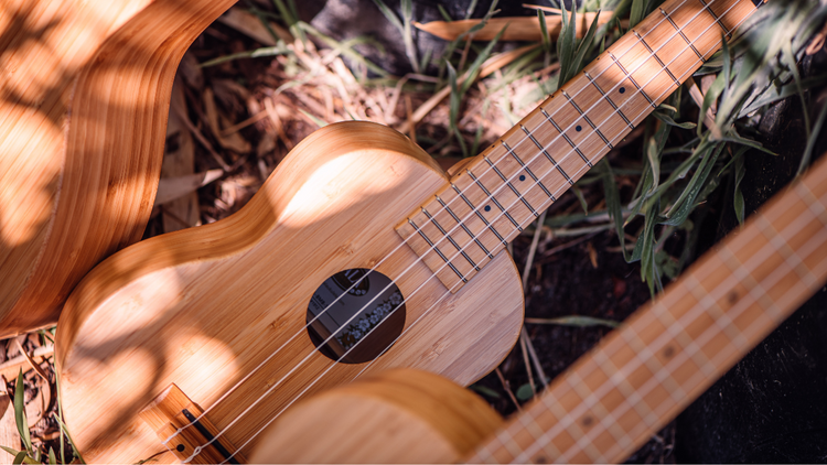 The Kala Bamboo Ukulele Collection