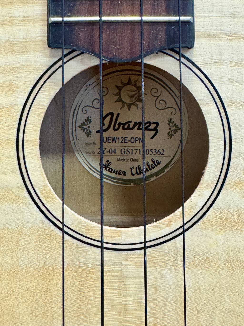 Ibanez Acoustic-Electric Concert Size Ukulele with Gig Bag - PREOWNED