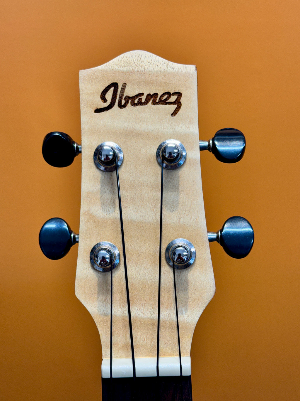 Ibanez Acoustic-Electric Concert Size Ukulele with Gig Bag - PREOWNED