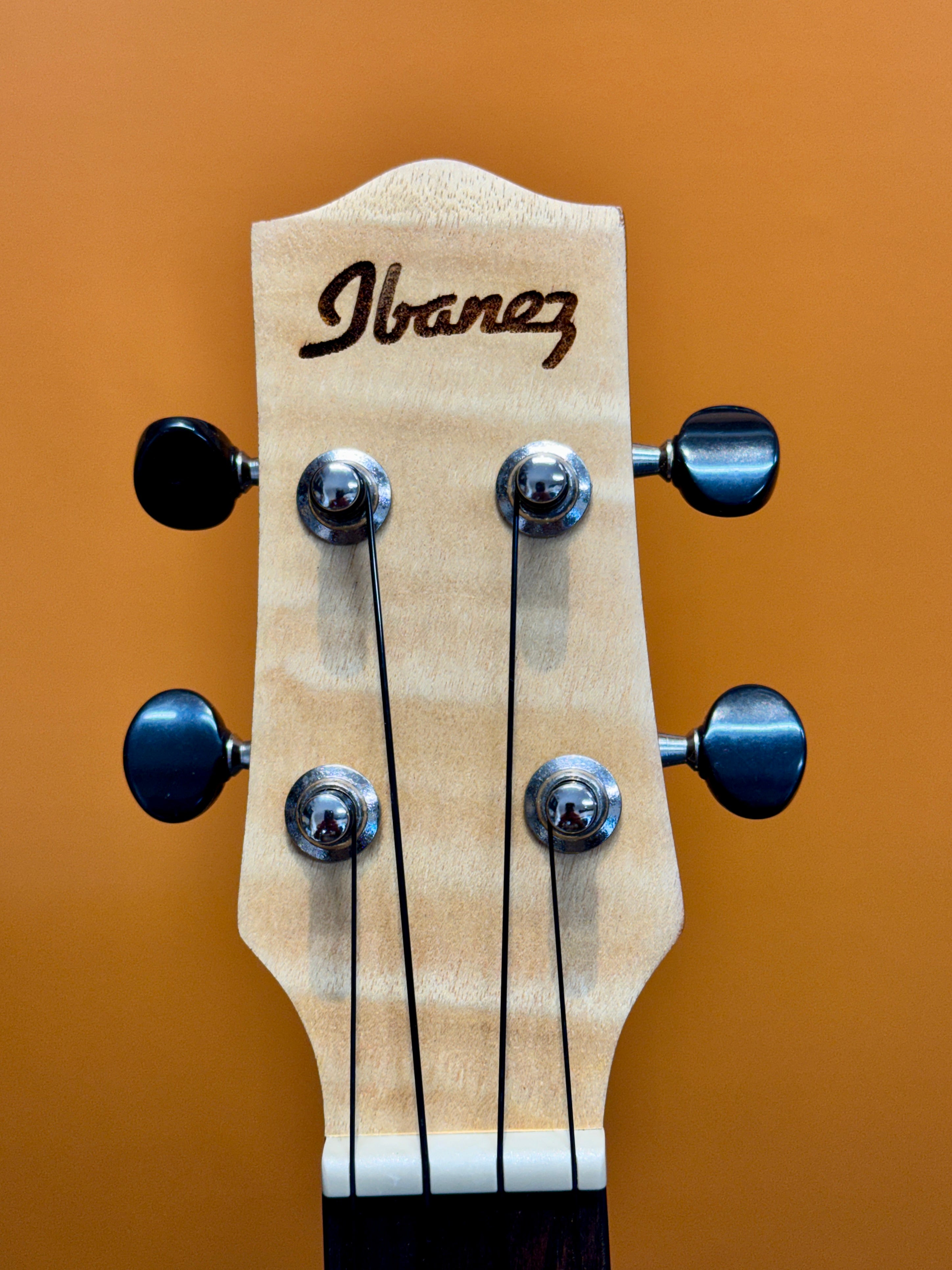 Ibanez Acoustic-Electric Concert Size Ukulele with Gig Bag - PREOWNED