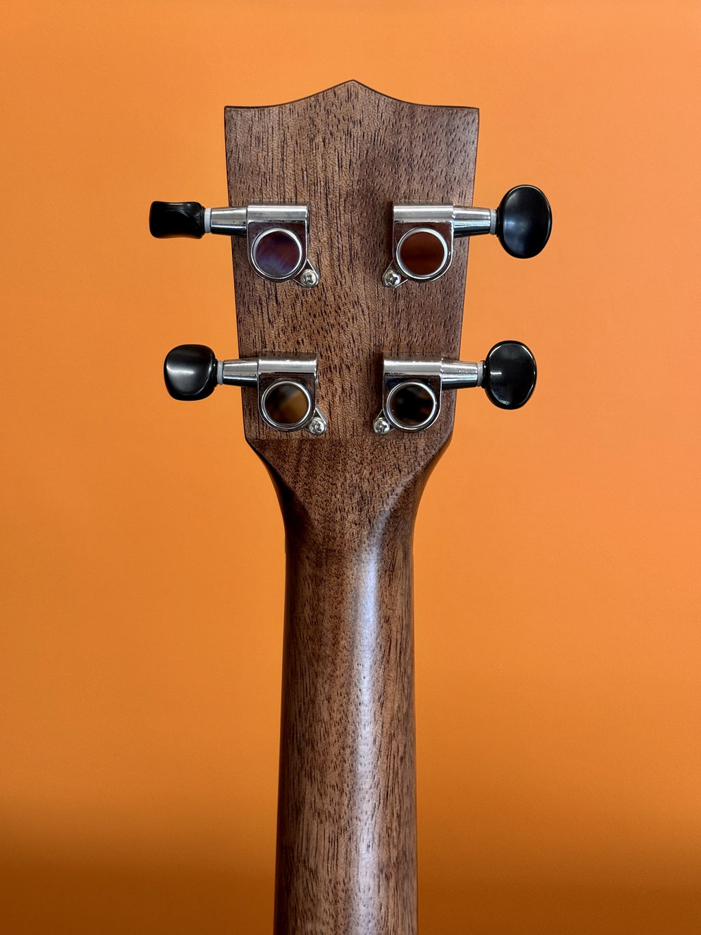 Kala Solid Spruce Top Mahogany Travel Ukulele - TENOR SIZE